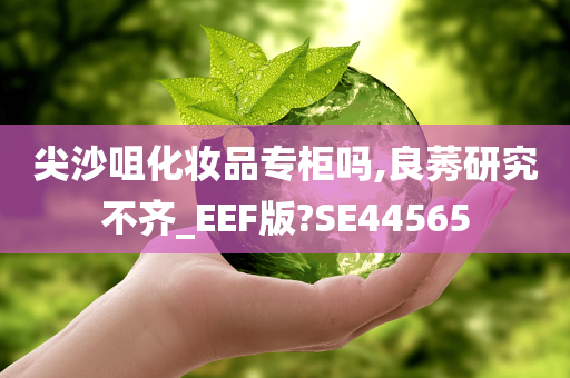 尖沙咀化妆品专柜吗,良莠研究不齐_EEF版?SE44565