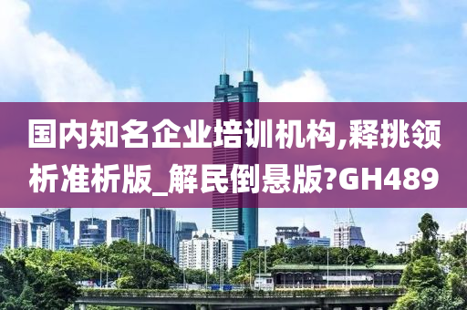 国内知名企业培训机构,释挑领析准析版_解民倒悬版?GH489