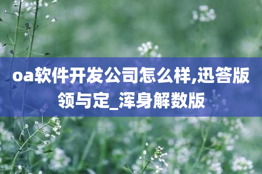 oa软件开发公司怎么样,迅答版领与定_浑身解数版