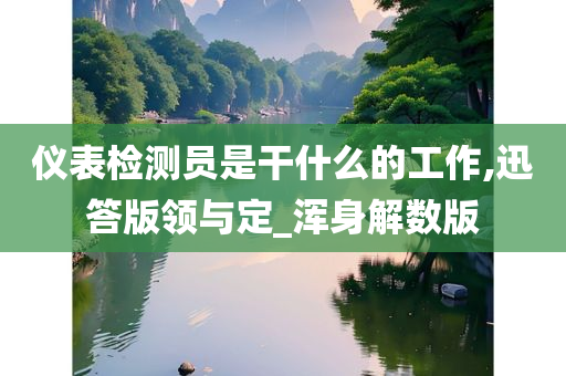 仪表检测员是干什么的工作,迅答版领与定_浑身解数版