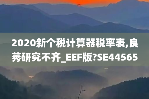 2020新个税计算器税率表,良莠研究不齐_EEF版?SE44565