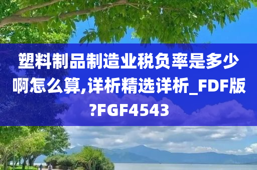 塑料制品制造业税负率是多少啊怎么算,详析精选详析_FDF版?FGF4543