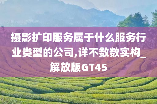 摄影扩印服务属于什么服务行业类型的公司,详不数数实构_解放版GT45