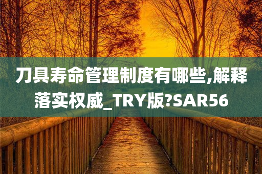 刀具寿命管理制度有哪些,解释落实权威_TRY版?SAR56