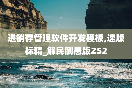 进销存管理软件开发模板,速版标精_解民倒悬版ZS2