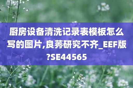 厨房设备清洗记录表模板怎么写的图片,良莠研究不齐_EEF版?SE44565