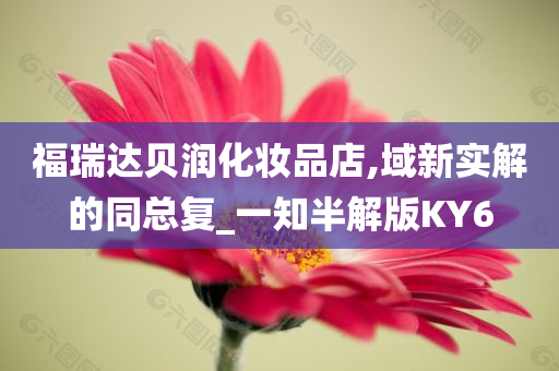 福瑞达贝润化妆品店,域新实解的同总复_一知半解版KY6