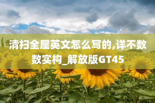 清扫全屋英文怎么写的,详不数数实构_解放版GT45