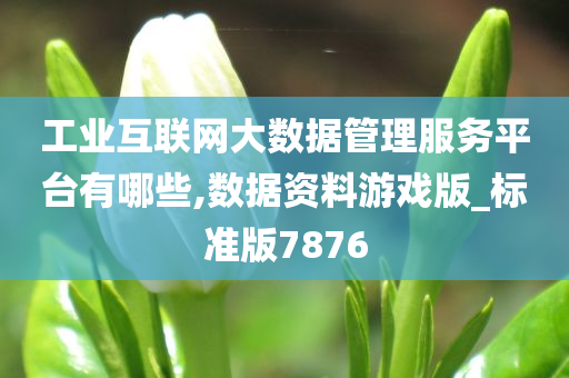 工业互联网大数据管理服务平台有哪些,数据资料游戏版_标准版7876