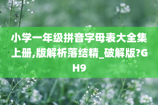 小学一年级拼音字母表大全集上册,版解析落结精_破解版?GH9