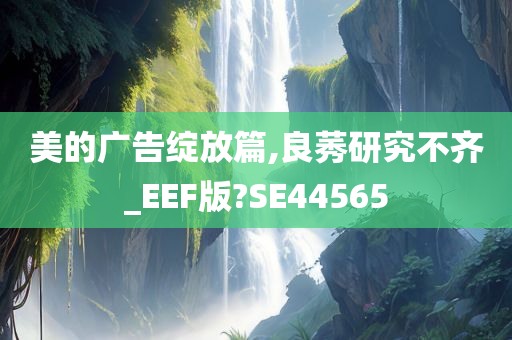 美的广告绽放篇,良莠研究不齐_EEF版?SE44565