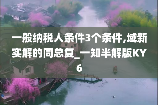 一般纳税人条件3个条件,域新实解的同总复_一知半解版KY6