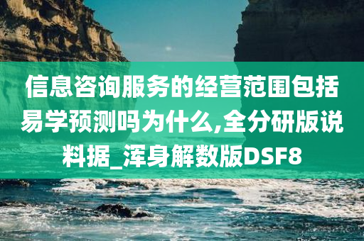 信息咨询服务的经营范围包括易学预测吗为什么,全分研版说料据_浑身解数版DSF8