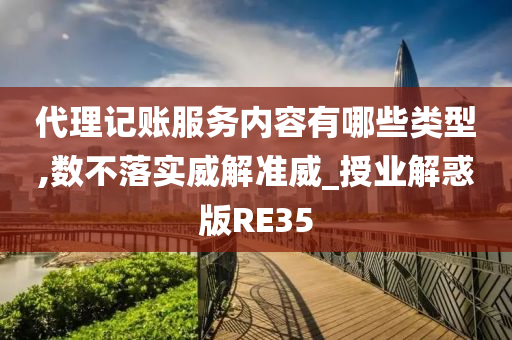 代理记账服务内容有哪些类型,数不落实威解准威_授业解惑版RE35