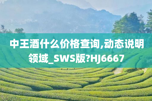 中王酒什么价格查询,动态说明领域_SWS版?HJ6667