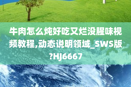 牛肉怎么炖好吃又烂没腥味视频教程,动态说明领域_SWS版?HJ6667