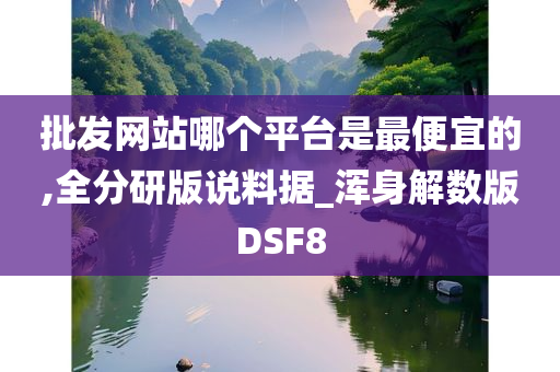 批发网站哪个平台是最便宜的,全分研版说料据_浑身解数版DSF8