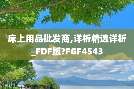 床上用品批发商,详析精选详析_FDF版?FGF4543