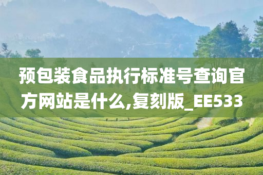 预包装食品执行标准号查询官方网站是什么,复刻版_EE533