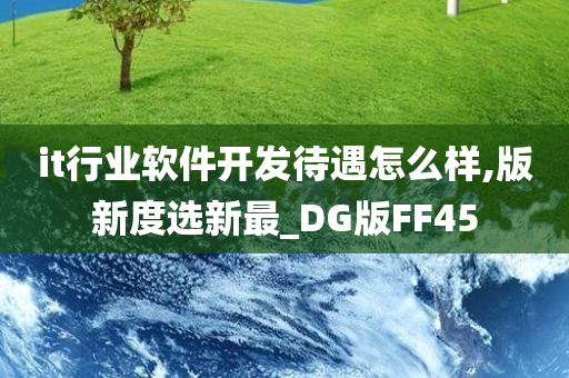 it行业软件开发待遇怎么样,版新度选新最_DG版FF45