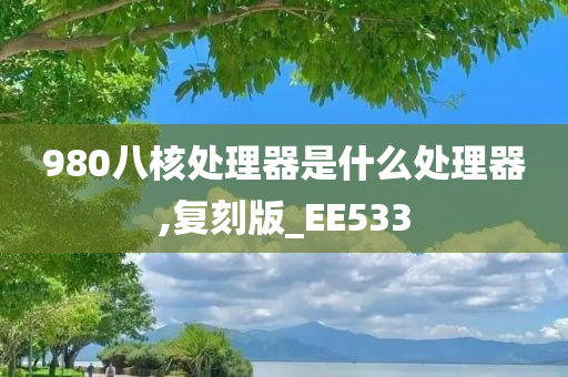 980八核处理器是什么处理器,复刻版_EE533