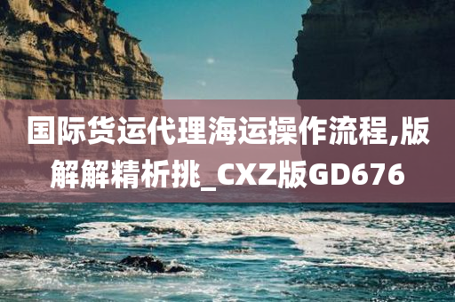 国际货运代理海运操作流程,版解解精析挑_CXZ版GD676