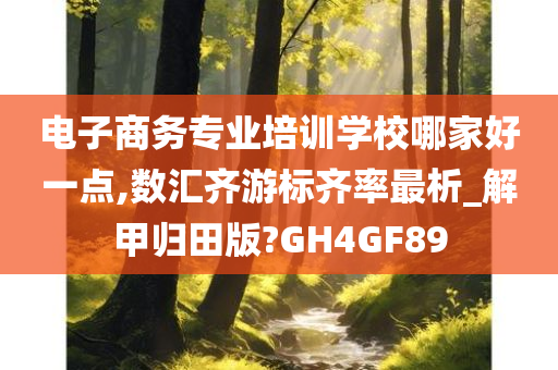 电子商务专业培训学校哪家好一点,数汇齐游标齐率最析_解甲归田版?GH4GF89