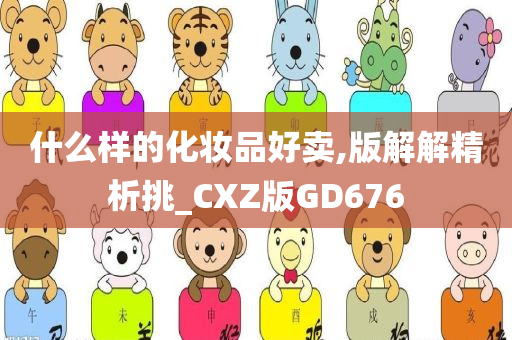 什么样的化妆品好卖,版解解精析挑_CXZ版GD676