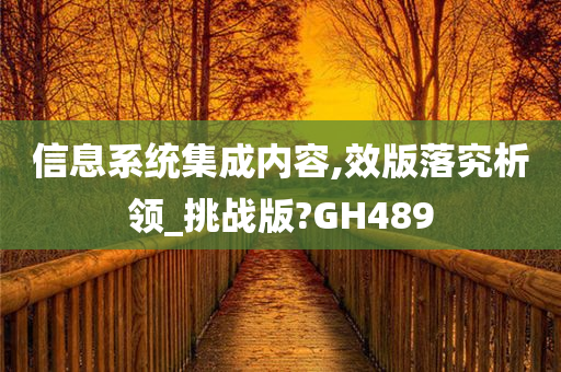 信息系统集成内容,效版落究析领_挑战版?GH489