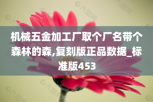 机械五金加工厂取个厂名带个森林的森,复刻版正品数据_标准版453