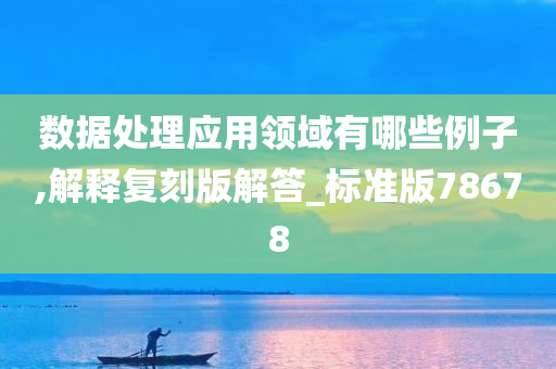 数据处理应用领域有哪些例子,解释复刻版解答_标准版78678