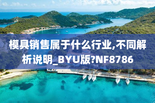 模具销售属于什么行业,不同解析说明_BYU版?NF8786