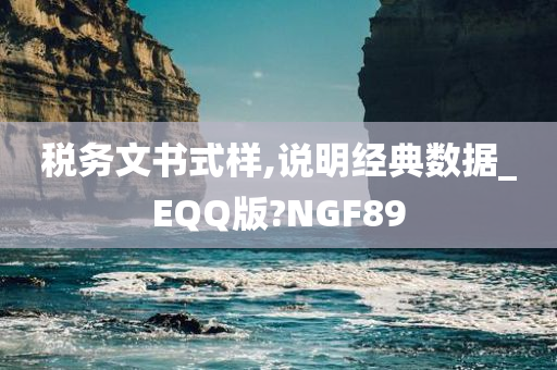 税务文书式样,说明经典数据_EQQ版?NGF89