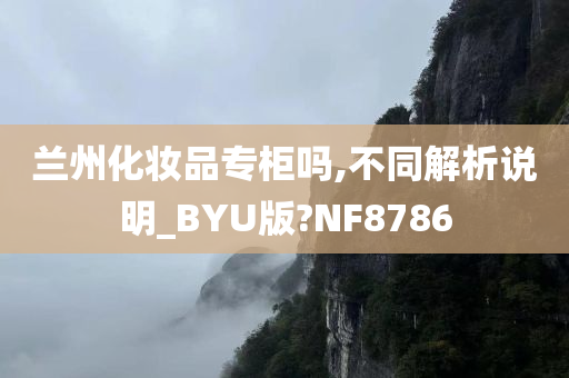 兰州化妆品专柜吗,不同解析说明_BYU版?NF8786