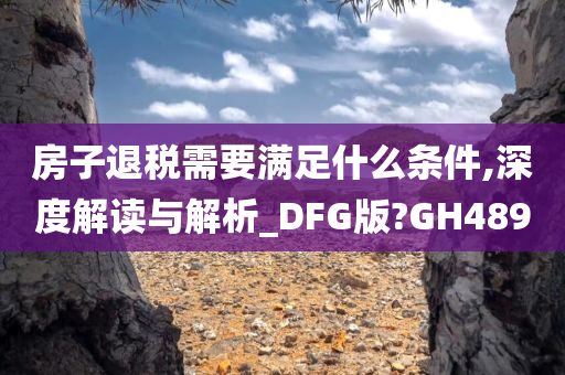 房子退税需要满足什么条件,深度解读与解析_DFG版?GH489