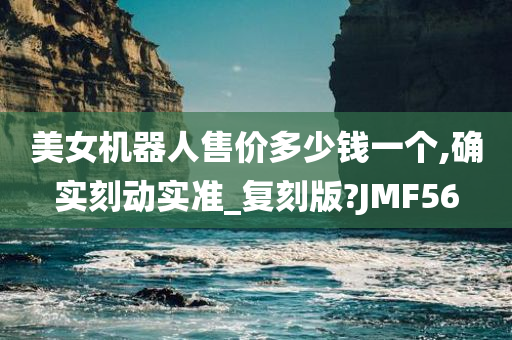 美女机器人售价多少钱一个,确实刻动实准_复刻版?JMF56