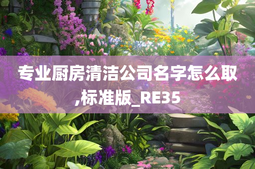 专业厨房清洁公司名字怎么取,标准版_RE35