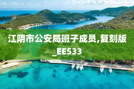 江阴市公安局班子成员,复刻版_EE533