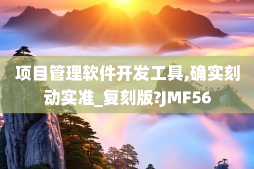 项目管理软件开发工具,确实刻动实准_复刻版?JMF56