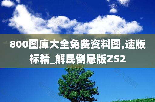 800图库大全免费资料图,速版标精_解民倒悬版ZS2