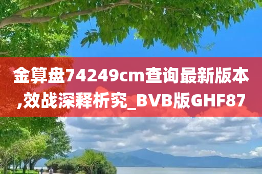 金算盘74249cm查询最新版本,效战深释析究_BVB版GHF87