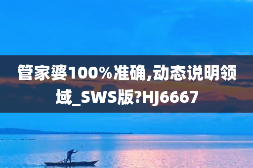 管家婆100%准确,动态说明领域_SWS版?HJ6667