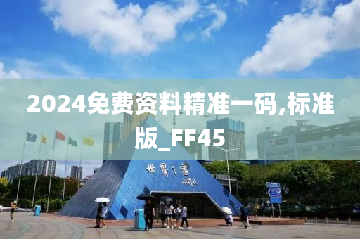 2024免费资料精准一码,标准版_FF45