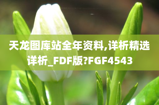 天龙图库站全年资料,详析精选详析_FDF版?FGF4543