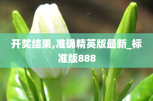 开奖结果,准确精英版最新_标准版888