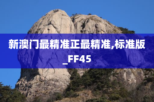 新澳门最精准正最精准,标准版_FF45