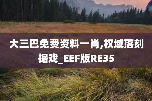 大三巴免费资料一肖,权域落刻据戏_EEF版RE35