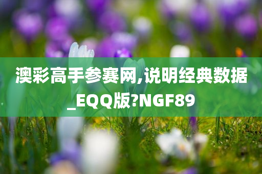 澳彩高手参赛网,说明经典数据_EQQ版?NGF89