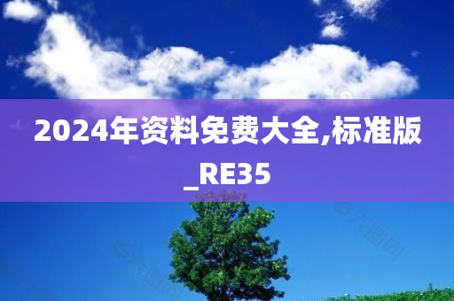 2024年资料免费大全,标准版_RE35