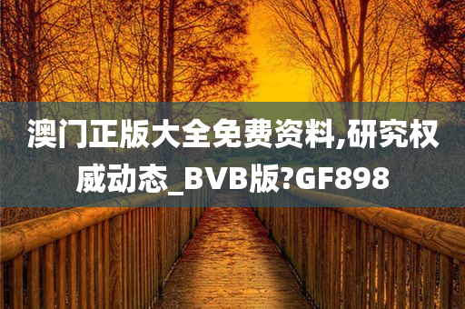 澳门正版大全免费资料,研究权威动态_BVB版?GF898